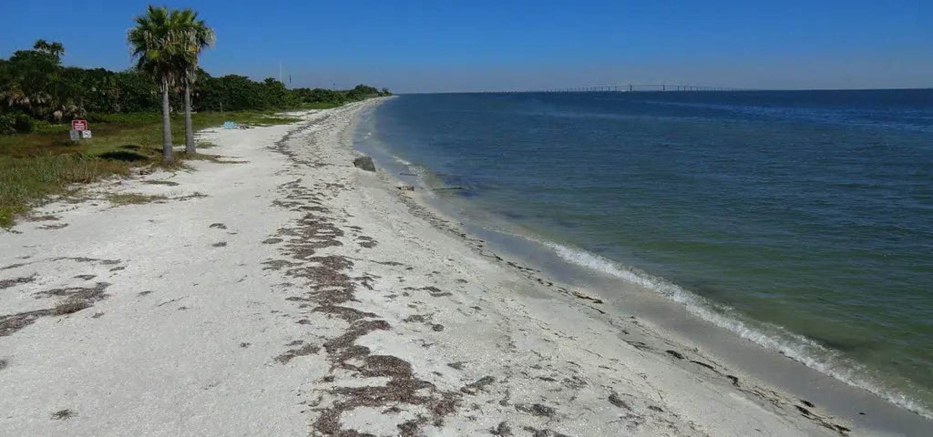 Advocates champion a family-friendly nude beach on Florida’s Gulf Coast
